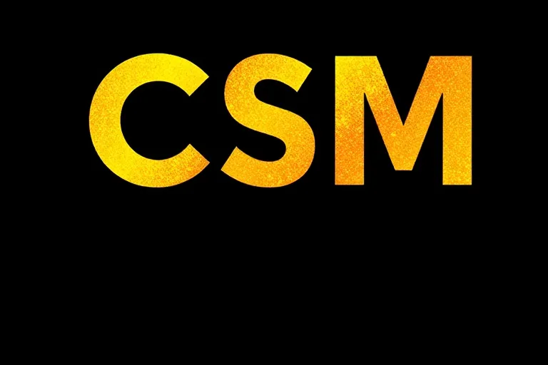 CSM.webp