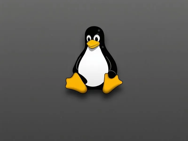 linux.webp