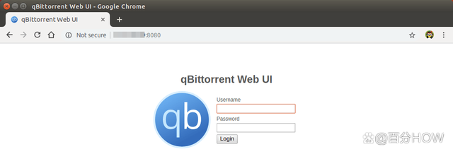 BT下载怎么这么难?NAS下载神器qBittorrent免费加速跑满方法教程插图 BT下载怎么这么难?NAS下载神器qBittorrent免费加速跑满方法教程插图