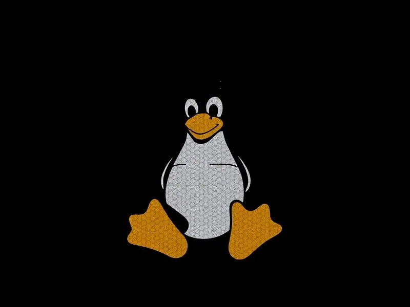 Linux常用命令之curl使用方法详解-王子主页